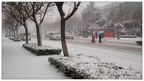 鹤壁大雪 鹤壁大雪