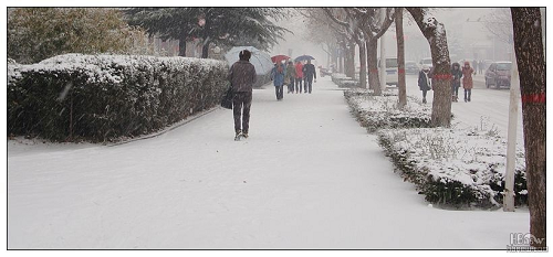 鹤壁第一场雪 鹤壁第一场雪